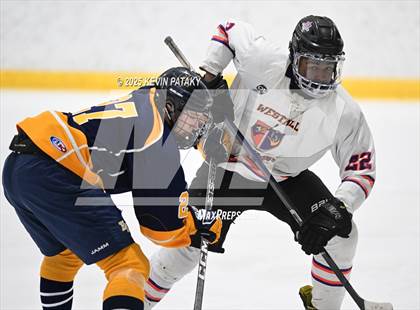 Thumbnail 3 in East Haven @ Westhill/Stamford photogallery.