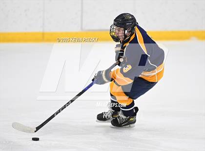 Thumbnail 2 in East Haven @ Westhill/Stamford photogallery.