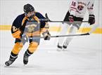 Photo from the gallery "East Haven @ Westhill/Stamford"