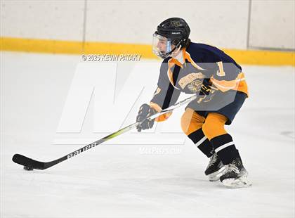 Thumbnail 3 in East Haven @ Westhill/Stamford photogallery.