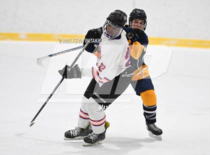 Thumbnail 1 in East Haven @ Westhill/Stamford photogallery.