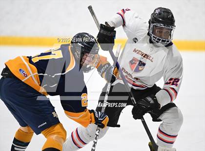 Thumbnail 1 in East Haven @ Westhill/Stamford photogallery.