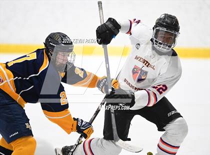 Thumbnail 3 in East Haven @ Westhill/Stamford photogallery.
