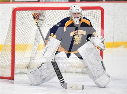 Thumbnail 3 in East Haven @ Westhill/Stamford photogallery.