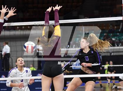 Thumbnail 1 in Lutheran vs. Alamosa (CHSAA 3A Quarter-Fina) photogallery.