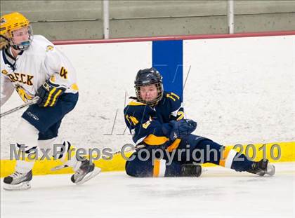 Thumbnail 1 in Fargo North vs Breck (Schwan Cup) photogallery.