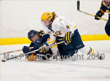 Thumbnail 3 in Fargo North vs Breck (Schwan Cup) photogallery.