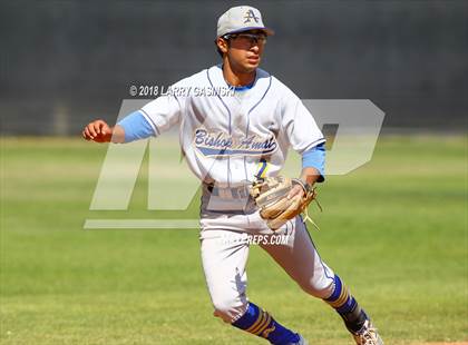 Thumbnail 2 in Bishop Amat @ Valencia (CIF SS D1 Playoffs Round 2) photogallery.