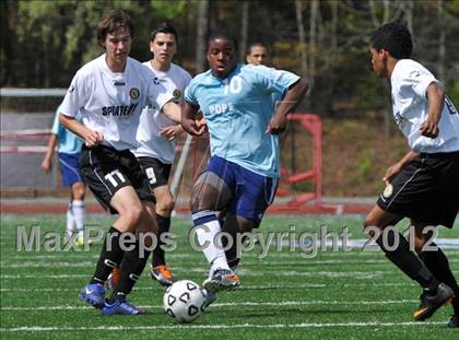 Thumbnail 1 in Sprayberry @ Pope photogallery.