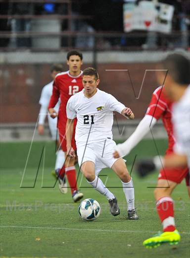 null - Photo 11