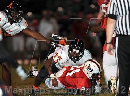 Thumbnail 2 in Austin @ Bob Jones photogallery.