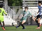 Photo from the gallery "Panther Creek @ Cary"