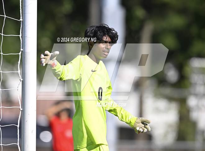 null - Photo 11