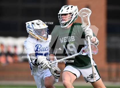 Thumbnail 1 in Webb @ Boyd-Buchanan photogallery.