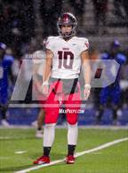 Photo from the gallery "Mustang @ Deer Creek"