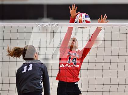 Thumbnail 1 in Bowie @ Vandegrift  photogallery.