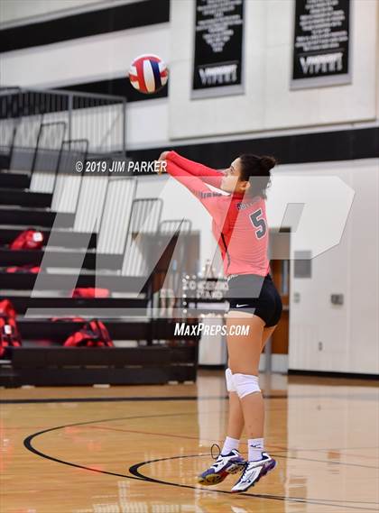 Thumbnail 1 in Bowie @ Vandegrift  photogallery.