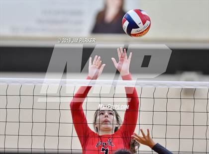 Thumbnail 1 in Bowie @ Vandegrift  photogallery.