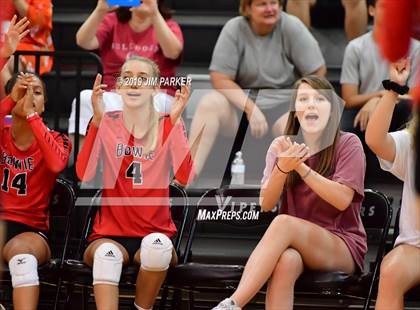 Thumbnail 1 in Bowie @ Vandegrift  photogallery.