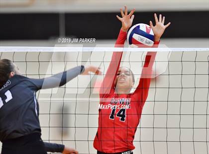 Thumbnail 3 in Bowie @ Vandegrift  photogallery.