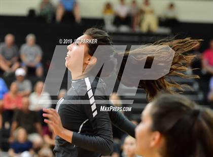 Thumbnail 2 in Bowie @ Vandegrift  photogallery.