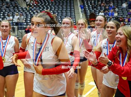 Thumbnail 3 in Wimberley vs. Randall (UIL 4A Volleyball Division II Final Medal Ceremony) photogallery.