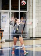 Photo from the gallery "Amador Valley @ Dublin"
