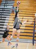 Photo from the gallery "Amador Valley @ Dublin"