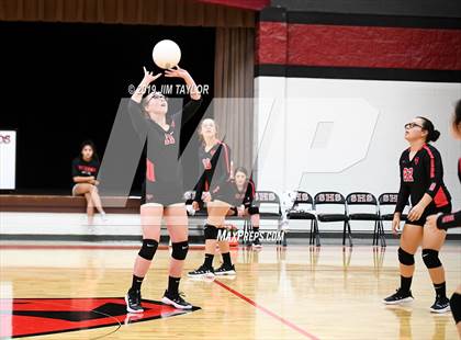 Thumbnail 1 in Gustine @ Strawn photogallery.