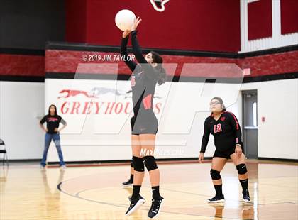 Thumbnail 1 in Gustine @ Strawn photogallery.
