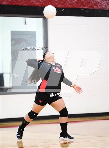 Thumbnail 1 in Gustine @ Strawn photogallery.
