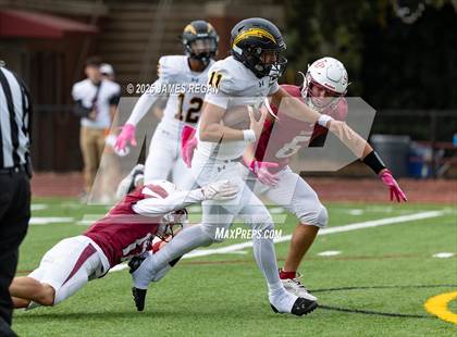 Thumbnail 1 in Wilcox @ Sacred Heart Prep photogallery.