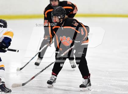 Thumbnail 1 in Ridgefield vs. Simsbury (Carrano Cup Semifinal) photogallery.