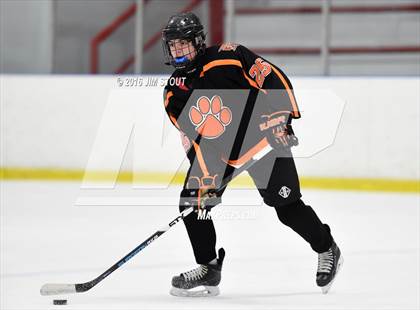 Thumbnail 2 in Ridgefield vs. Simsbury (Carrano Cup Semifinal) photogallery.