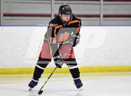 Thumbnail 1 in Ridgefield vs. Simsbury (Carrano Cup Semifinal) photogallery.