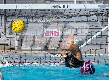 Thumbnail 1 in Whitney vs Sonora photogallery.