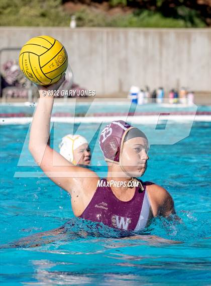 Thumbnail 2 in Whitney vs Sonora photogallery.