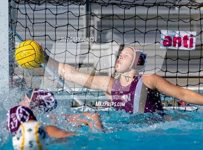 Thumbnail 2 in Whitney vs Sonora photogallery.