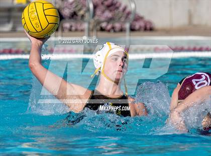 Thumbnail 2 in Whitney vs Sonora photogallery.