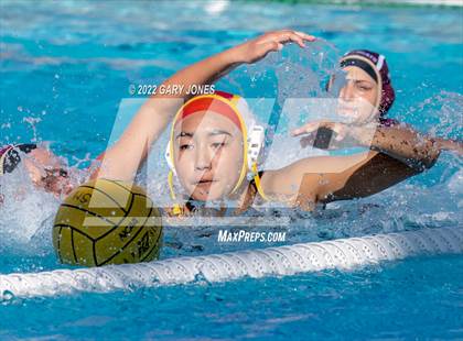 Thumbnail 3 in Whitney vs Sonora photogallery.