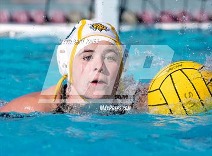 Thumbnail 3 in Whitney vs Sonora photogallery.