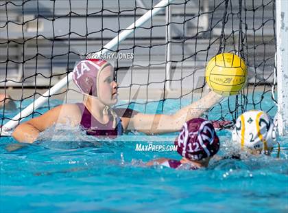 Thumbnail 1 in Whitney vs Sonora photogallery.