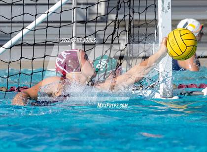 Thumbnail 1 in Whitney vs Sonora photogallery.