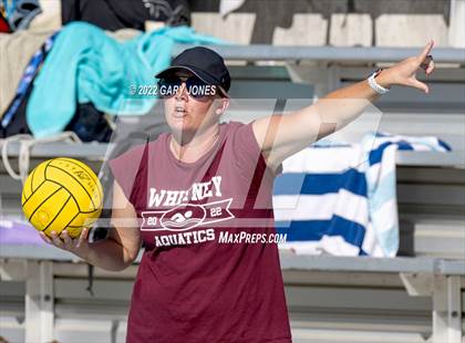 Thumbnail 2 in Whitney vs Sonora photogallery.