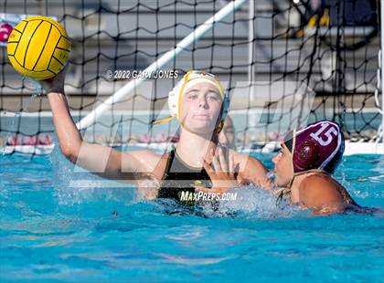 Thumbnail 2 in Whitney vs Sonora photogallery.