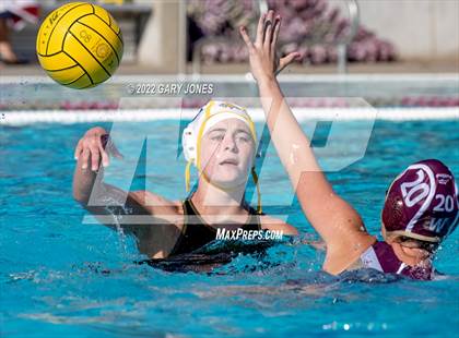 Thumbnail 3 in Whitney vs Sonora photogallery.