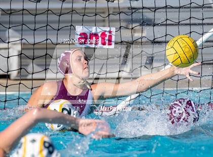 Thumbnail 2 in Whitney vs Sonora photogallery.