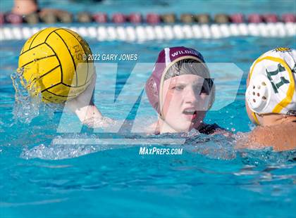 Thumbnail 1 in Whitney vs Sonora photogallery.