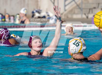 Thumbnail 1 in Whitney vs Sonora photogallery.