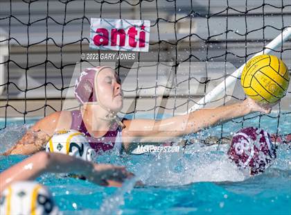 Thumbnail 3 in Whitney vs Sonora photogallery.